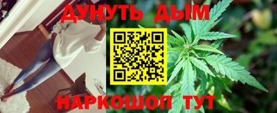 дмт Тара