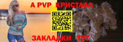 дмт Тара