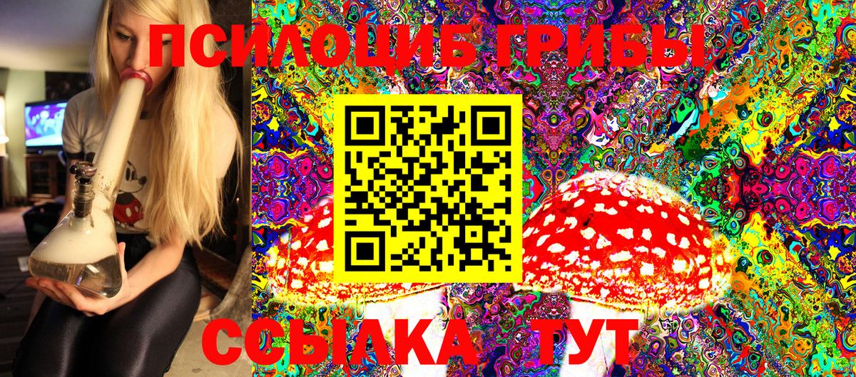 Галлюциногенные грибы Psilocybe  Вход с VPN  Псилоцибиновые грибы Psilocybine cubensis  наркота  Белогорск 